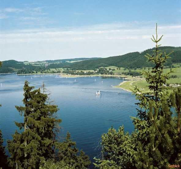 Hotel Seeblick Заалбург Екстериор снимка